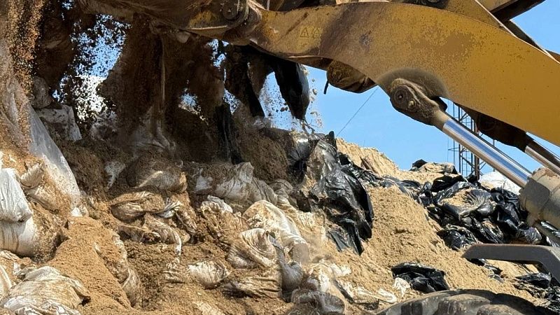 Более 1000 тонн загрязненного мазутом песка вывезли из хутора под Анапой