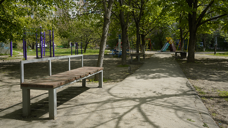 Надежда Панаетова: чем больше краснодарцев голосуют, тем больше денег на благоустройство зеленых зон