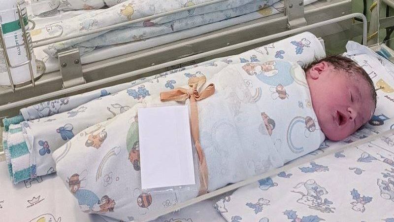 Сразу пять двоен появились за сутки в Краснодарском крае