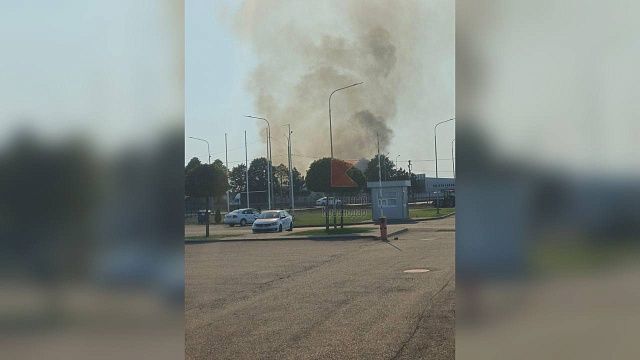 Поле с сухой травой сгорело на площади 600 «квадратов» в Краснодаре