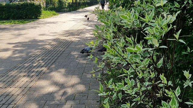 Температура воздуха понизится на 2-3 градуса в Краснодарском крае