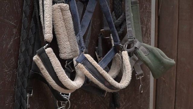 Фото: телеканал «Краснодар»