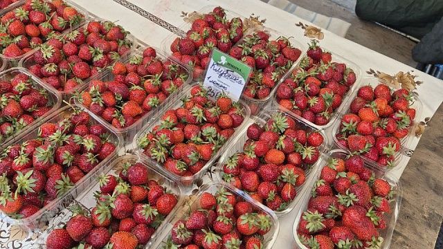 Фото: телеканал «Краснодар»