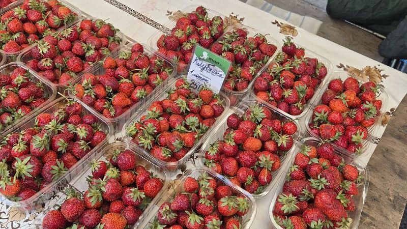 Кровь пролилась в ходе драки за бесплатную еду на ярмарке в Изербаше 