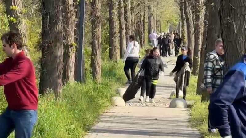 Городскую аллею привели в порядок мэр Наумов и местные жители в Краснодаре