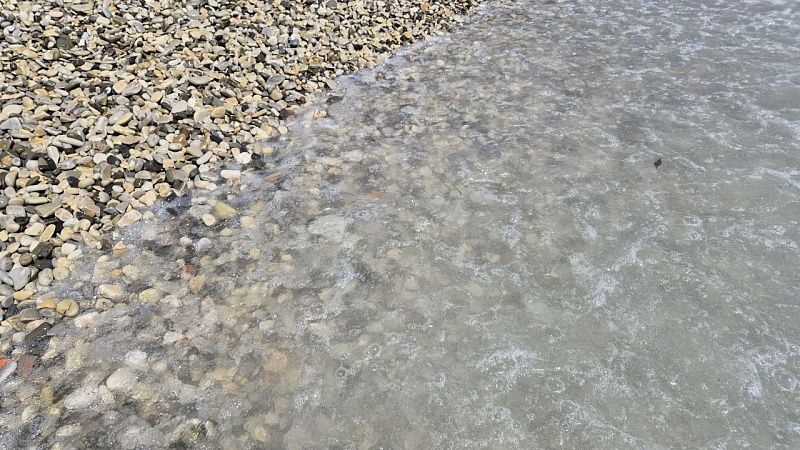 Бульдозерист под наркотиками раздавил туристку на пляже в Италии