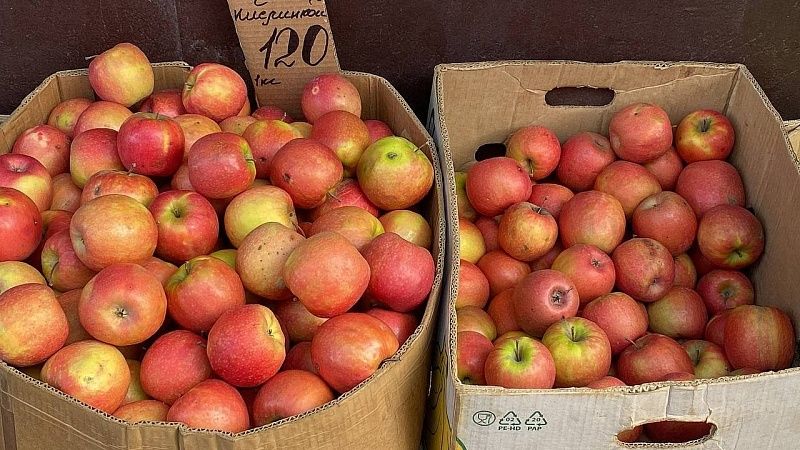 До почти 190 тысяч тонн вырос экспорт кубанских фруктов в регионы России