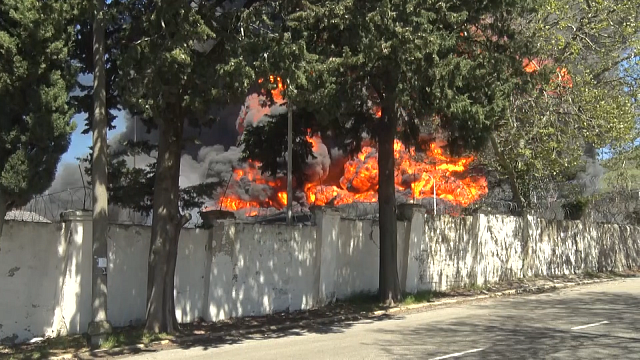 Ликвидация ЧС в Туапсе, деревьев в Краснодаре стало больше, неделя иммунитета. Новости 28 апреля