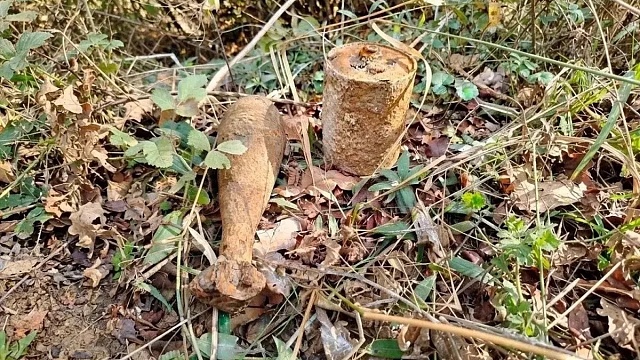 Фото: ГУ Росгвардии по Краснодарскому краю