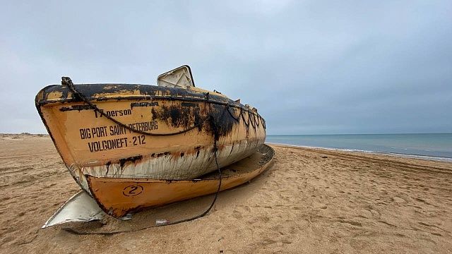 Более 30 дельфинов погибли после разлива мазута в Чёрном море