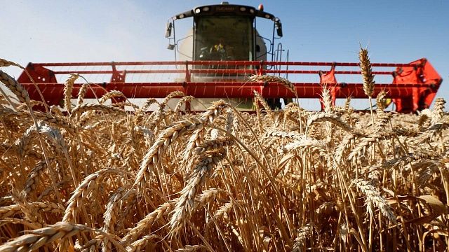 Фото: Вениамин Кондратьев