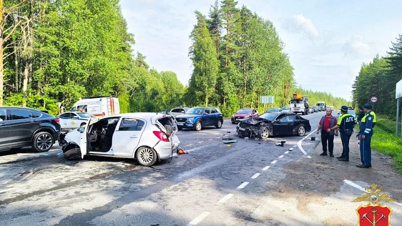 Жительница Кубани погибла в массовой аварии под Санкт-Петербургом 