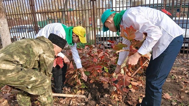 Более 8 тысяч деревьев в рамках акции «Сохраним лес» высадили на Кубани