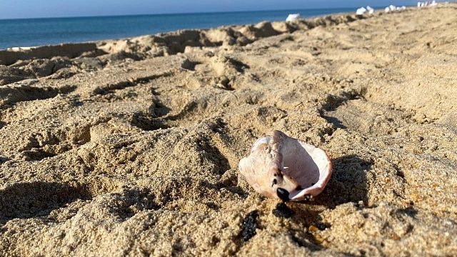 Насос для откачки мазута из Красноярского края протестировали в Анапе