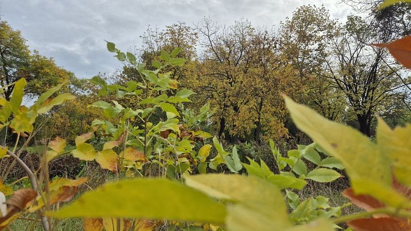 В тех же местах, где пропала семья Усольцевых, шесть лет назад исчез грибник 