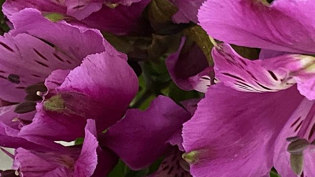 Фото: телеканал «Краснодар»