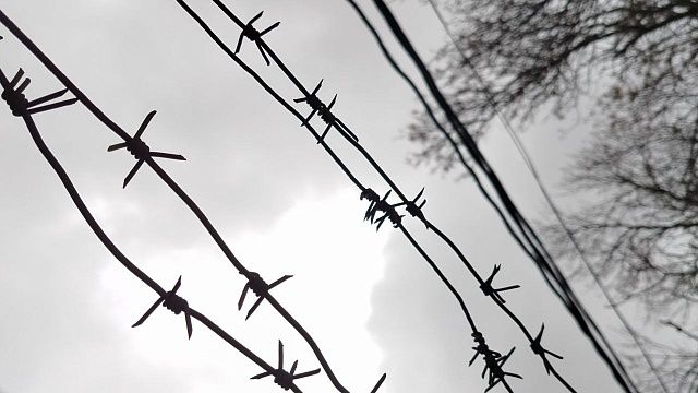 Фото: телеканал «Краснодар».