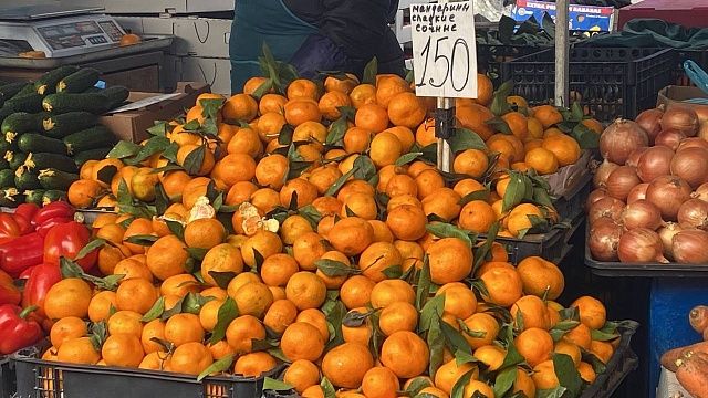 В конце ноября стартуют массовые поставки мандаринов на Кубань
