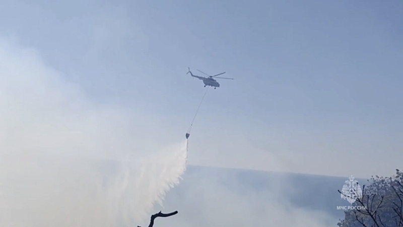 Площадь пожара увеличилась до 7,3 га в лесном массиве под Анапой