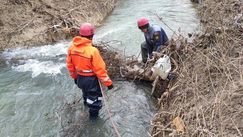 Более 88 млн рублей выделены на уборку карчи в реках Кубани