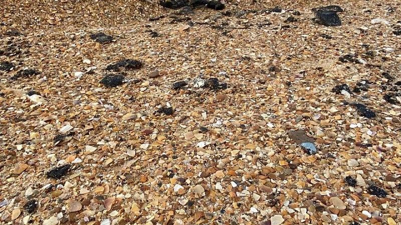 Новые выбросы мазута зафиксировали на береговой линии в Анапе