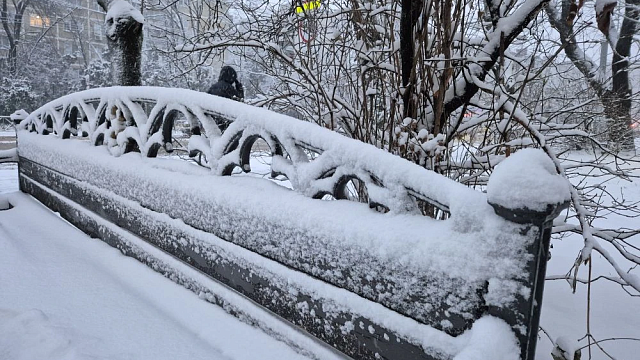 Фото: телеканал «Краснодар»