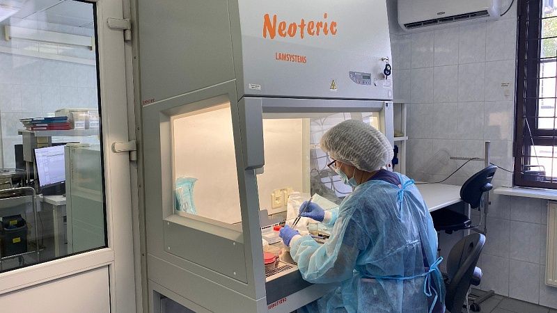 С помощью домашнего кота ученый-вирусолог открыл неизвестный науке вирус