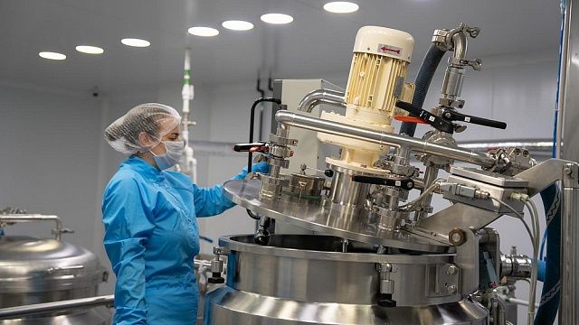 Фото: пресс-служба администрации Краснодарского края