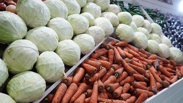 Фото: телеканал «Краснодар»