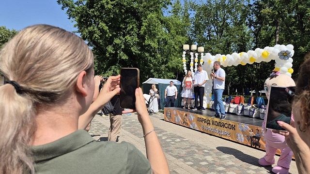 Новая детская площадка может появиться в Краснодаре