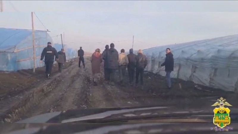 Полиция выявила 18 нелегальных мигрантов, работавших в теплицах на Кубани