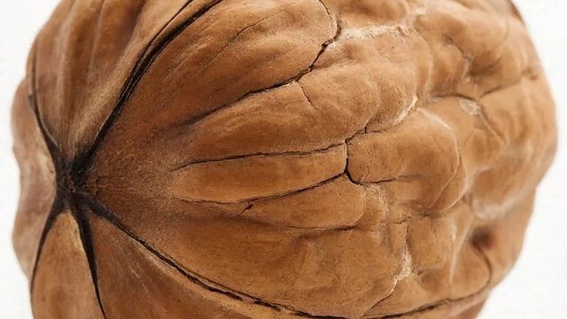 От воспаления и окислительного процесса защитит скорлупа грецкого ореха