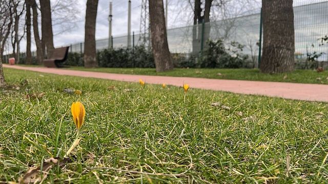 Фото: Вероника Новокрещеннова