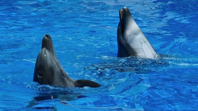 Фото: телеканал «Краснодар»