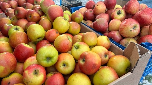 Власти Кубани назвали рост цен на фрукты и ягоды спекуляцией. Фото: телеканал «Краснодар»