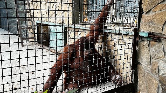 Фото: телеканал «Краснодар»
