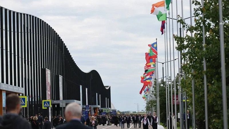 Экономисты рассказали об эффекте участия Кубани в ПМЭФ-2025 