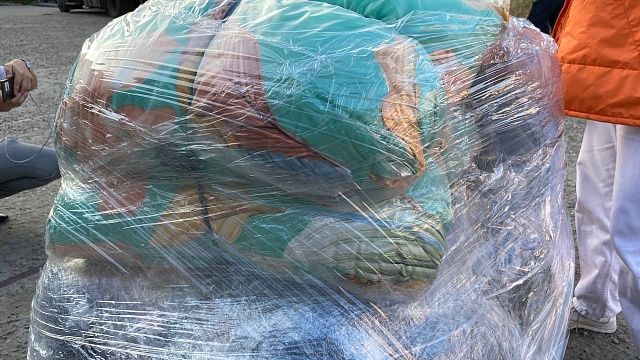 Фото: телеканал «Краснодар»