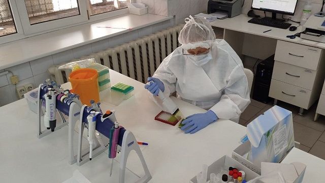 Фото: телеканал «Краснодар»