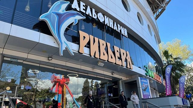 Фото: телеканал «Краснодар»