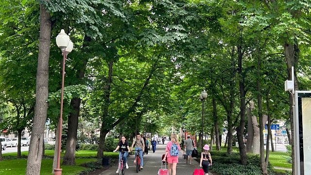 Губернатор Кубани Кондратьев заявил о 2,5 млн отдохнувших в июне туристах