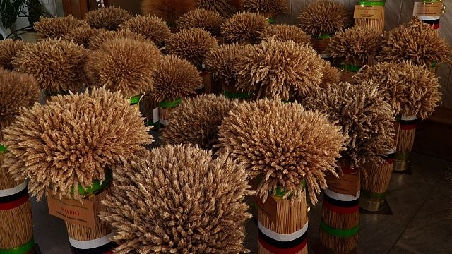 В полтора раза сократился экспорт пшеницы из Краснодарского края 