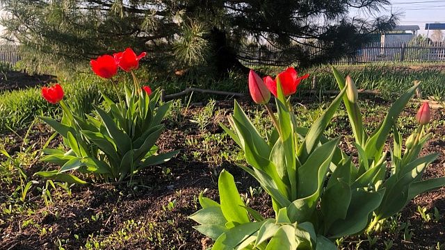 Фото: телеканал «Краснодар»