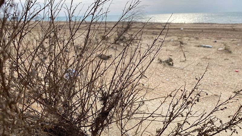 Новых выбросов мазута не нашли за последние пять дней в Анапе