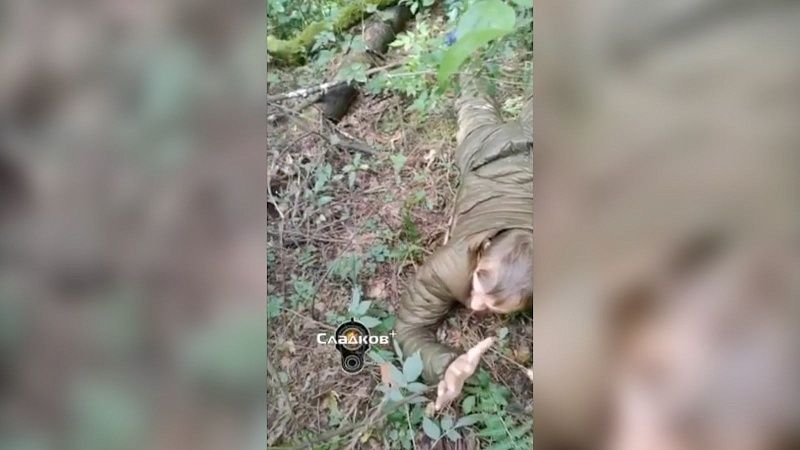 Опубликовано видео допроса пленных диверсантов в Брянской области