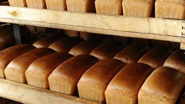 Фото пресс-службы администрации Краснодарского края