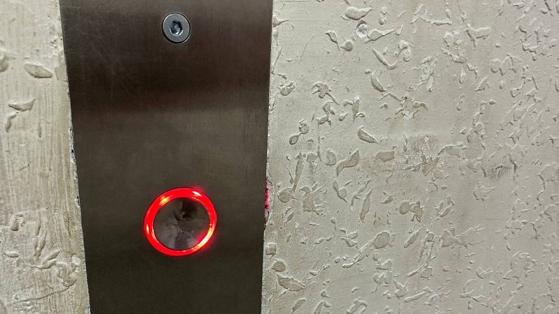 Полиция начала проверку по избиению в лифте собаки в Краснодаре