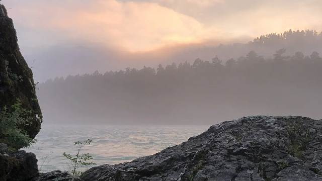 Фото: телеканал «Краснодар»