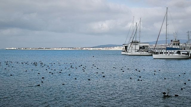 Фото: телеканал «Краснодар»