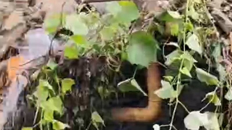 Появилось видео сошедшего на газовую трубу оползня в Сочи